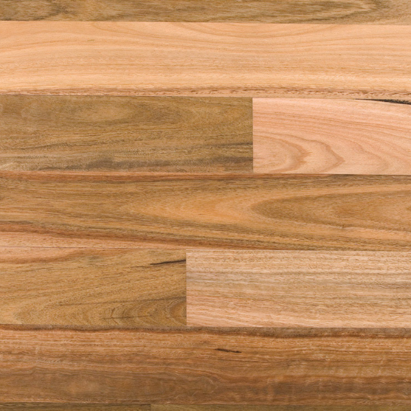 Spotted Gum Solid Strip Australian Species