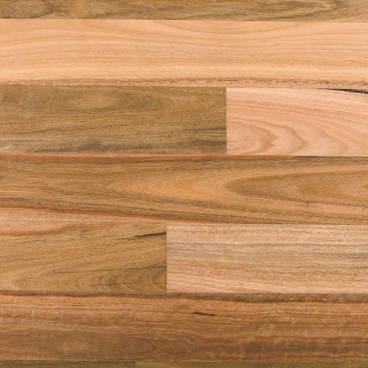 Spotted Gum Solid Strip Australian Species