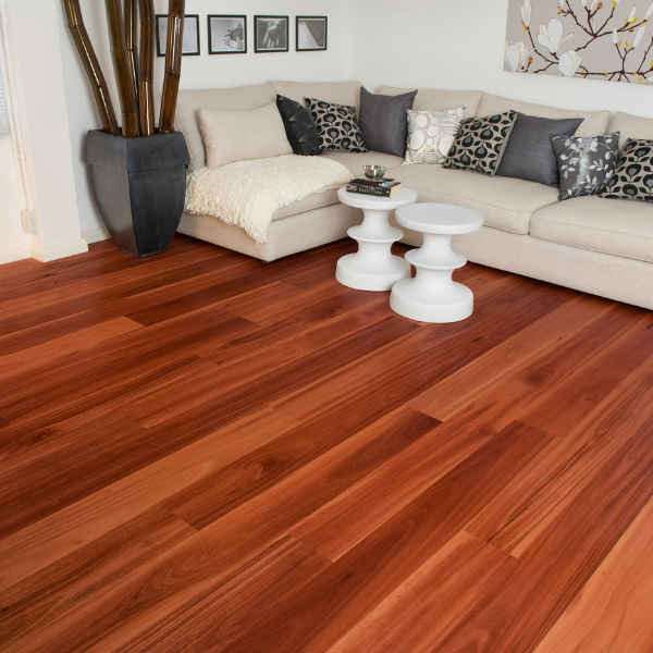 Sydney Blue Gum Solid Strip Australian Species