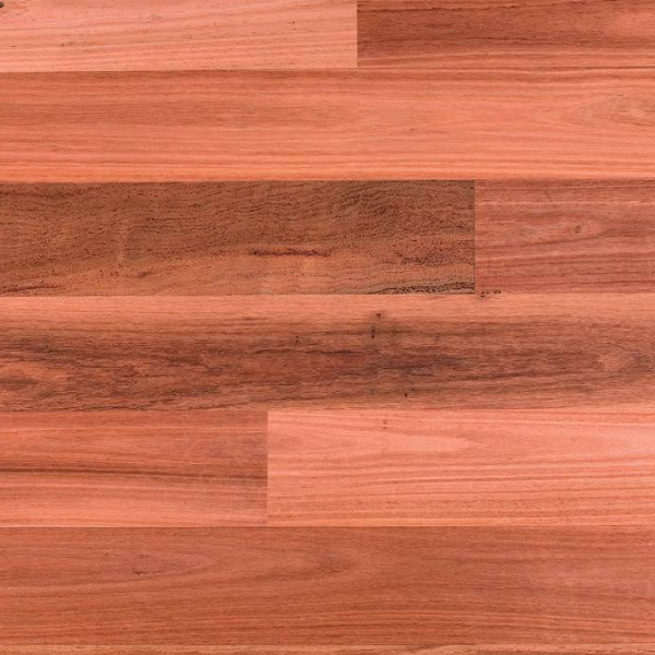 Sydney Blue Gum Solid Strip Overlay Australian Species