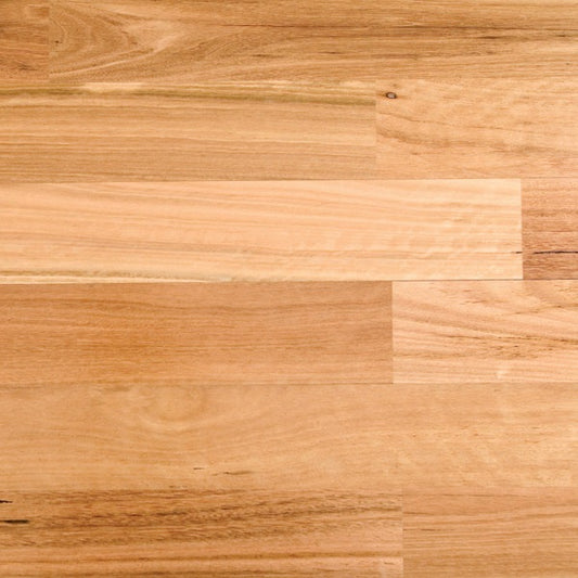 Blackbutt Solid Strip Australian Species