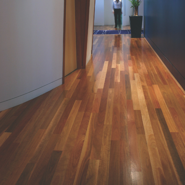 Spotted Gum Solid Strip Overlay Australian Species
