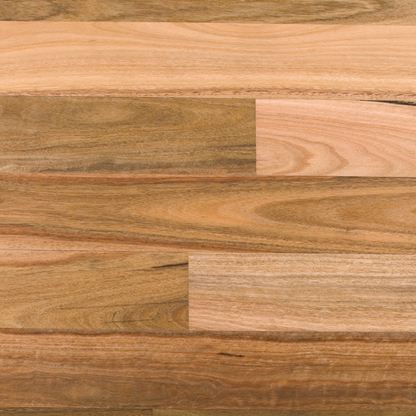 Spotted Gum Solid Strip Australian Species